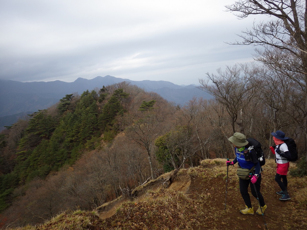 丹沢三峰などが見えます