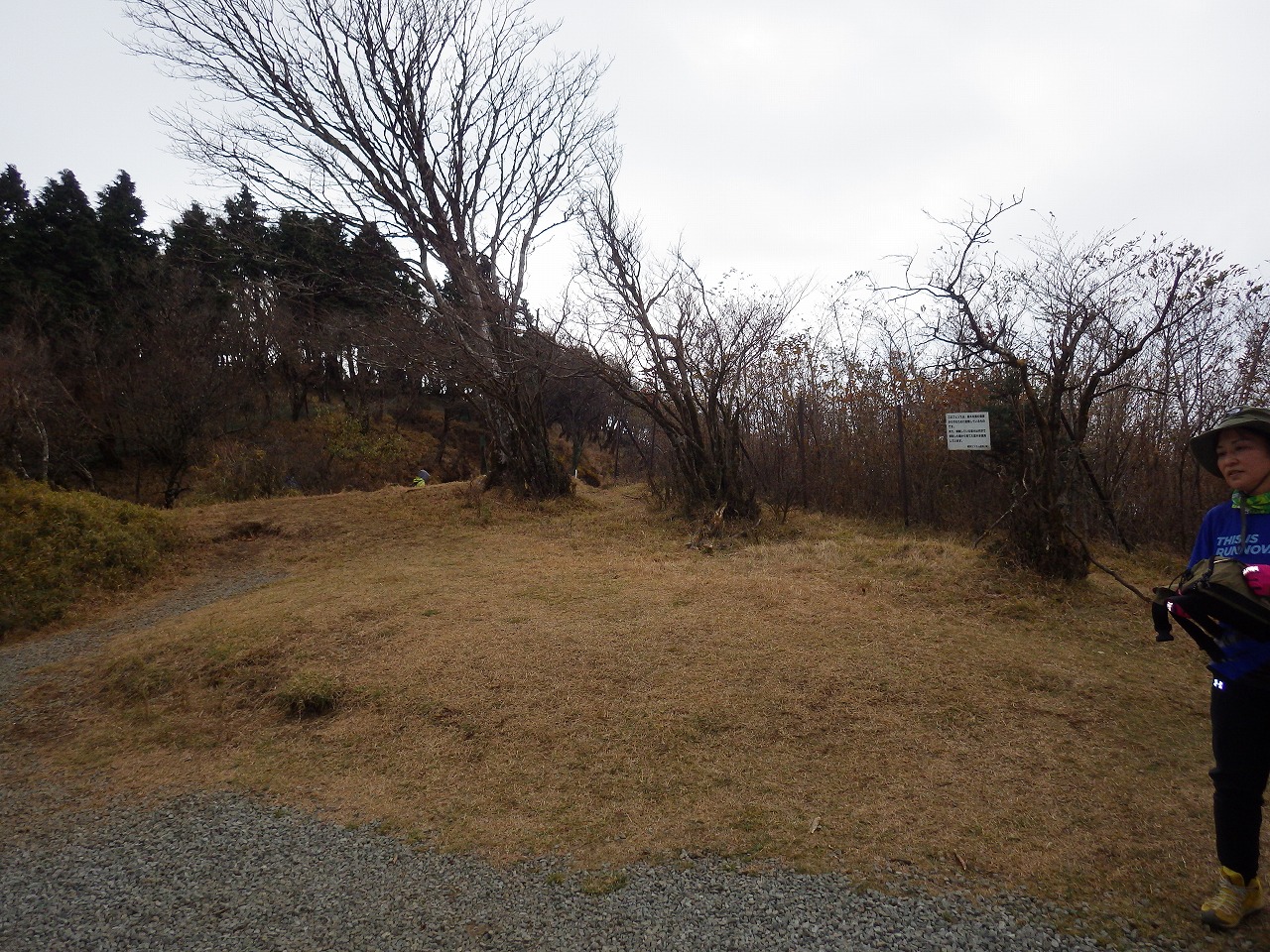 大山山頂北側